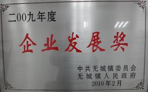 2009年度企業發展獎